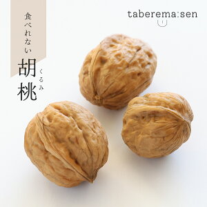 HׂȂ  3Zbg b ӓ N~ HiTv Tvi vJ { {i ؂̎ ibc ޗ   nhCh X  fBXvC  Be ʐ^Be Mt