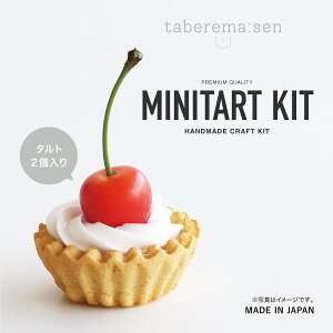 食べられない ミニタルトキット|タルト ハンドメイド ハンドクラフト メイキングトイ オリジナル 手作り キット ハート 小学生 自由研究 女の子 子供 誕生日 誕生日プレゼント 洋菓子 スイ