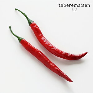 食べられない 赤唐辛子 【2本】| 唐辛子 トウガラシ とうがらし 辛い 食品サンプル サンプル品 レプリカ 見本 見本品 フェイク 材料 部材 店舗 装飾 ディスプレイ 置物 インテリア 小物 撮影