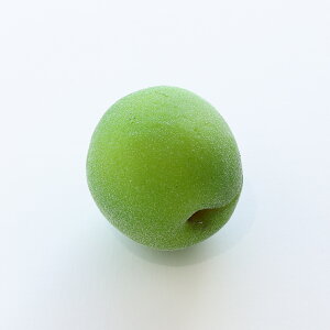 HׂȂ ~i1jb~  ~ HiTv Tvi vJ { {i  tFCN C~e[V ޗ  ԍ X  fBXvC u CeA  Be 