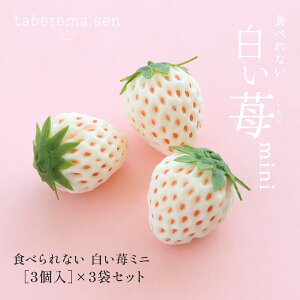 HׂȂ  ~ji3j×3܃Zbgb C`S Xgx[  HiTv Tvi vJ { {i tFCN C~e[V ޗ  X  fBXv