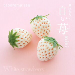 HׂȂ  ~ji3jb C`S Xgx[  HiTv Tvi vJ { {i  tFCN C~e[V ޗ  ԍ X  fBXvC 