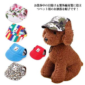 ybgp Xq Lbv t  L Xq p Lp nbg hbOnbg Oh~  悯 MǑ΍ ăoeh~ 蕨 ybg  ^ Ck  L lR ˂ o ʐ^B