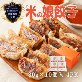 【送料無料】米の娘餃子(こめのこぎょうざ)セット(30g×10個4PK入り) GY-300 ギフト 贈答品 お祝い 誕生日 冷凍 焼き餃子 水餃子にも 東北 山形 高級 ブランド豚 米の娘ぶた 豚肉 野菜 金山の一番刈りニラ たっぷり お取り寄せ 国産 肉汁 ジューシー 特大