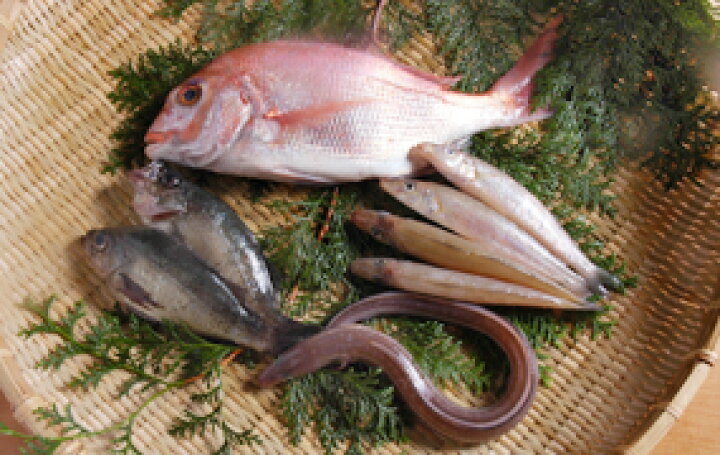 楽天市場 瀬戸内海小魚セット 天然鯛メバル２尾きす４尾穴子1尾 タイたいめばるキス 瀬戸内たいたいｃｌｕｂ