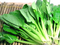 【西日本産、北海道産】自然農法、または有機農法 ( 無農薬野菜 )小松菜　1束