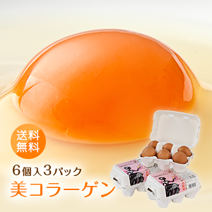 ԋʑzuER[Qi63pbNjv { ƒp  ̂ VN  Cm R[Q Ǝz VRǑf