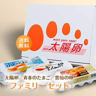 送料無料「ファミリーセット（太陽卵・雲仙の卵・青春のたまご（10個入り×3種類）」お試し 九州産 赤玉 …