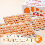 業務用たまご「太陽卵赤玉Lサイズ（160個入）」送料無料 家庭用 業者用 箱売り まとめ買い 九州産 タマゴ…
