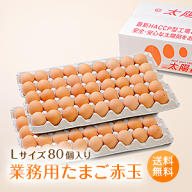 業務用たまご「太陽卵赤玉Lサイズ（80個入り）」送料無料 家庭用 業者用 箱売り まとめ買い 九州産 タマ…