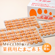 業務用たまご「太陽卵赤玉Mサイズ（180個入）」送料無料 家庭用 業者用 箱売り まとめ買い 九州産 タマゴ…