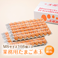 業務用「太陽卵赤玉MSサイズ（108個／100個＋破損保証8個）」送料無料 まとめ買い 家庭用 業者用 箱売り …