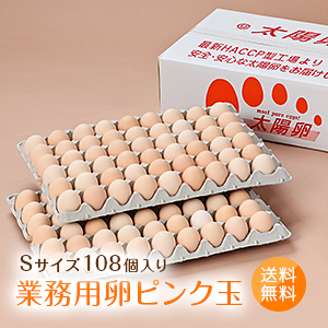 ƖpuzsNSTCYi108^100{jۏ8jv  ܂Ƃߔ ƒp Ǝҗp   P[X 働bg