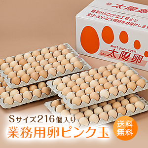 ƖpuzsNSTCYi216^200{jۏ16jv ƒp Ǝҗp  ܂Ƃߔ 働bg BY