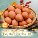 【予約商品】大寒の日限定！金運・健康運を呼ぶ「2026年大寒の卵（10個入り3パック）」九州産 1月20日産まれのみ 数量…