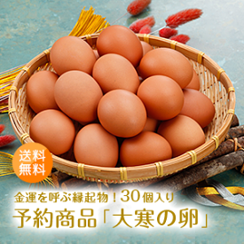 【予約商品】大寒の日限定！金運・健康運を呼ぶ「2026年大寒の卵（10個入り3パック）」九州産 1月20日産まれのみ 数量限定 高級赤玉 送料無料