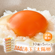 九州産赤玉「太陽卵（10個入り5パック）」送料無料 家庭用 小分け 朝採れ 長崎産 たまご タマゴ 玉子 生…