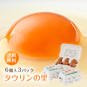 u^E̗i63pbNjv ԋ LgT ^E fgbNX gYCKj {  ̂ BY h{Lx