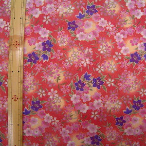 [߂vg@Ƌj[@sN@65cmyzn@n@az