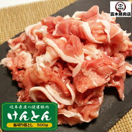 豚肉 切り落とし 500g ( 250g × 2袋 ) 小分け けんとん豚 岐阜県産 すき焼き 豚丼 炒め物に 豚小間 豚コ…