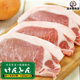 豚肉 ロース とんかつ用 120g×2枚 岐阜県 けんとん豚 トンテキ 国産 豚肉 焼肉 肉の日 豚 ぶた ロース ステーキ