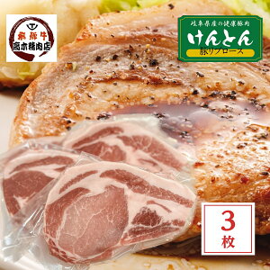 豚肉 ロース ステーキ 200g × 3枚 【送料無料】 岐阜県 けんとん豚 トンテキ 国産 豚肉 29日 肉の日 豚 ぶた ロース 厚切り ステーキ