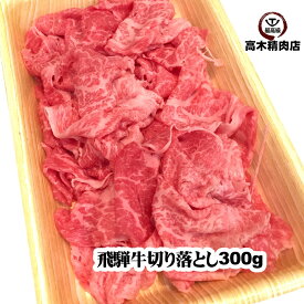 飛騨牛 切り落とし 肉 300g 冷凍 岐阜県 飛騨牛 A5 お試し 牛丼 すき焼き 赤身 霜降り 鍋 モモ ロース ご自宅使い こま切れ 不揃い 弁当 焼肉 丼 牛肉切り落とし 国産 黒毛和牛 入学 卒業 就職