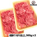 飛騨牛 切り落とし 肉 300g×2パック 冷凍 岐阜県 飛騨牛 A5 牛丼 すき焼き 赤身 霜降り 鍋 モモ ロース ご自宅使い こま切れ 不揃い 弁当 焼肉 丼 牛肉切り落とし 国産 黒毛和牛