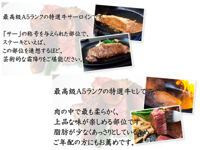 楽天市場 送料無料 飛騨牛 ステーキセット 化粧箱入 サーロイン 0g ヒレ 1g 岐阜県 A5 お中元 お歳暮 父の日 グルメ ギフト ロース 贈り物 希少部位 黒毛和牛 飛騨牛 高木精肉店