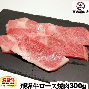 ˋ ē [X 300g yz A5N a T[C u[X v[g BBQ  Mtg  ē 񂹃O 蕨 av[g j j 
