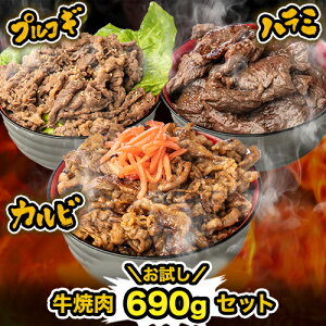 s plLt ē690gZbg (120g×5pbN) cn n~ Jr vRM  t BBQ  y Ⓚ Hi Mtg  lߍ킹 Ε nEB