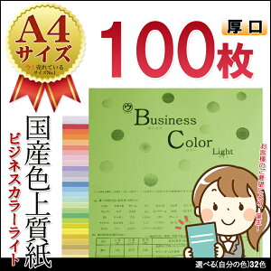 Iׂ 31F+1FiFjA4 y[p[ }E rWlXJ[Cg yzy100î50jzy210×297mmzCNWFbg [U[v^[ Rs[Ή `V ptb