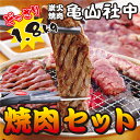 亀山社中 どっさり 焼肉セット(華咲きハラミ・やわらかカルビ合計1.8kg) ⇒【送料込み】【あす楽】【RCP】(お中元 ギフト プレゼントにもどうぞ) ランキングお取り寄せ