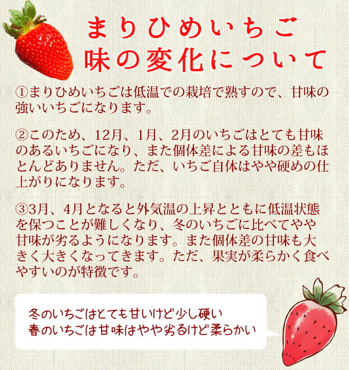 楽天市場 販売予定期間は3月下旬まで テレビでも話題 和歌山オリジナル品種 紀州イチゴ 不揃いまりひめ こだわり 甘い イチゴ いちご 減農薬 低温栽培 まりひめ 優品 宅配便専用 樽の味 クール冷蔵便 贈り物 食べ物 ギフト お取り寄せ 詰め合わせ 食品 お歳暮