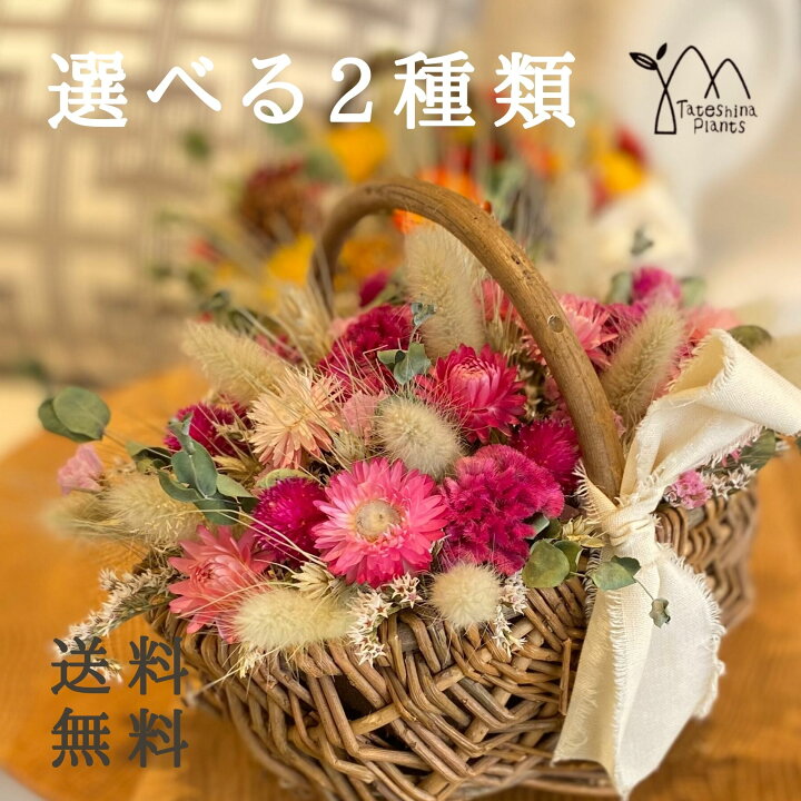 楽天市場 ドライフラワー プレゼント 送料無料 フラワーアレンジ インテリア おしゃれ ナチュラル 人気 お花 カゴm ギフト 壁飾り お誕生日 お祝い 女性 蓼科プランツ 楽天市場店