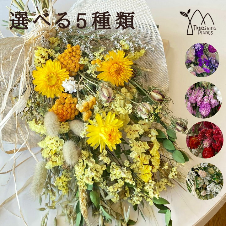 楽天市場 ドライフラワー 花束 スワッグ 誕生日 あす楽14時まで ブーケ おしゃれ 選べる5種類 ナチュラル 人気 スワッグ新m お花 ギフト 壁 飾り お誕生日 蓼科プランツ 楽天市場店