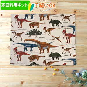 [AMőo]sƒȋޑΉt̐} Thx[Wy`}bgzwZ  萶n Lbg }jAt wZ ƒ Lbg