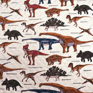 [AMőo]sƒȋޑΉt̐} Thx[W LeBOyibvTbNzwZ  ibvUbN Lbg 萶n 傫 ̑  ւ