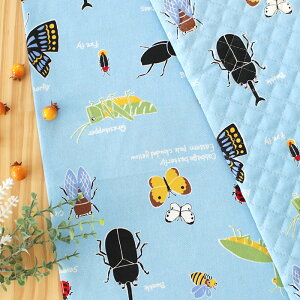 [Jbg]̐E u[y`}bgzLbg 萶n+藠n ȒP ْf n `NX `}bg w wN wN t S |Lbg 