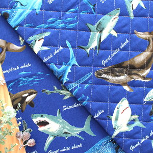 [�J�b�g��]�N�W���ƃT�� �l�C�r�[�y�X���b�N�z ����L�b�g ���̎q �j�̎q �ȒP ���� ���n ���S�� �X���b�O �q�� �n���h���C�h ��|�Z�b�g 95 100 110 115 120 3�� 4�� 5�� �ۈ牀 �c�t�� ������