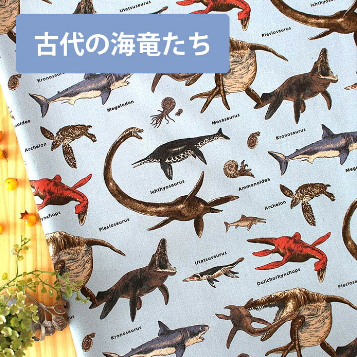 楽天市場】[カット済]恐竜ボーイズ 2025年【選べる袋物 手作りキット 