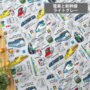 [Jbg]蕨WI 2025Ny̑/ibvTbNzLbg 萶n ȒP ْf n ̑ ւ ւ ܕ В t S |Lbg  L