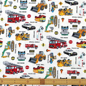 [Jbg]蕨WI 2025NyV[YobOzLbg ȒP ْf n V[YobN V[Y C C 㗚 ΂ t S |Lbg  L