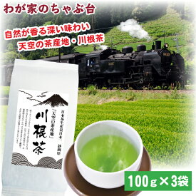 川根茶 100g×3袋 | わが家のちゃぶ台 送料無料 お茶 緑茶 煎茶 茶 茶葉 お茶葉 静岡 川根 国産 中蒸し 中むし 健康 健康茶 一番茶 新茶 色 香り うがい 藪北 ウイルス対策 やぶきた やぶ北 甘い 美味しい おいしい お徳 お得 お土産 冷茶 水出し 氷出し 急須 カテキン 3本