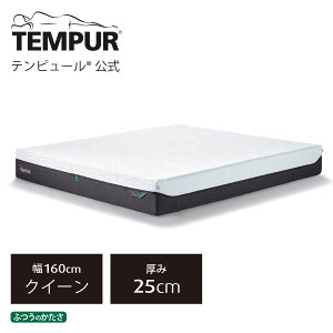 y11/1(y) 1~OFFN[|zzzyzes[ }bgX VO Z~_u _u NC[ | es[ v GA vX | 25cm ӂ̂ ̈U}bg