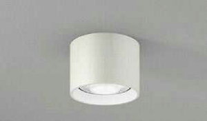 ERG5067W ENDO ���^�V�[�����O���C�g�@[GX53-1a][�z���C�g][�����v�ʔ�]