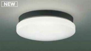 AU46980L RCY~Ɩ FCL20`@AEghA@[LEDF]