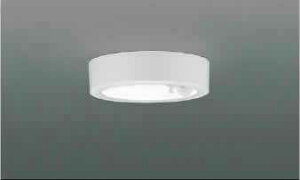 [o] AH50469 RCY~Ɩ lZT[t@^V[OCg@[LEDF][t@CzCg][100W][pl VN͗l]