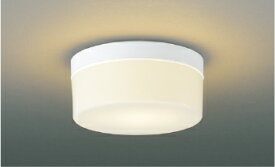 あす楽対応 AU54103 コイズミ照明 LEDシーリングライト　電球色　100相当　ファインホワイト　乳白色　防雨・防湿型　LED交換可能