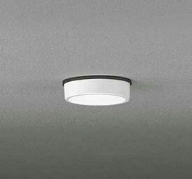 [即日出荷] OG254527R オーデリック 白熱灯器具 60W相当 高演色LED シーリングライト 昼白色 オフホワイト 防雨型